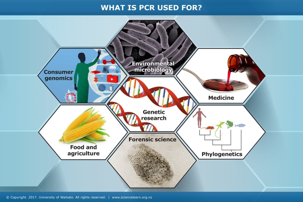 Applications of PCR. Applications of PCR.