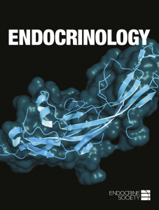 Endocrinology Of Pregnancy.