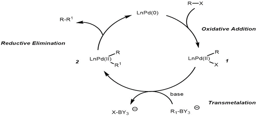 Suzuki miyaura coupling. Suzuki miyaura coupling with organometallic complexes.