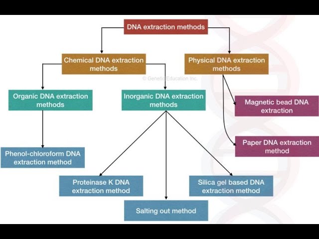 Pharmaceutical Extraction Types Of Extraction Methods And Important